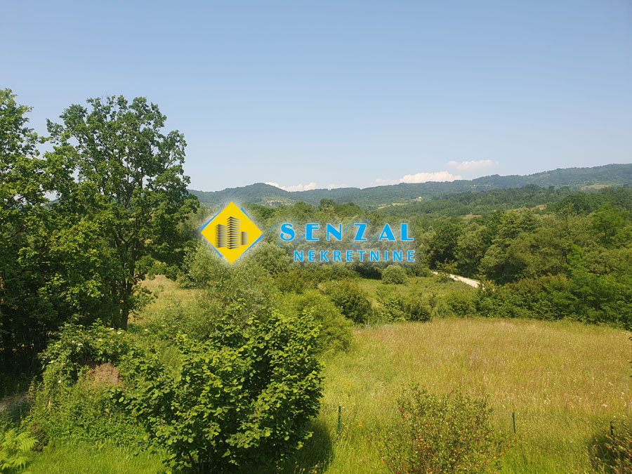 slika